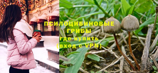 спиды Алексин