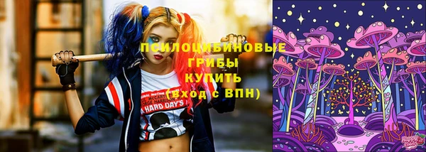спиды Алексин
