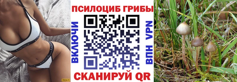 Псилоцибиновые грибы Psilocybe  Лениногорск 